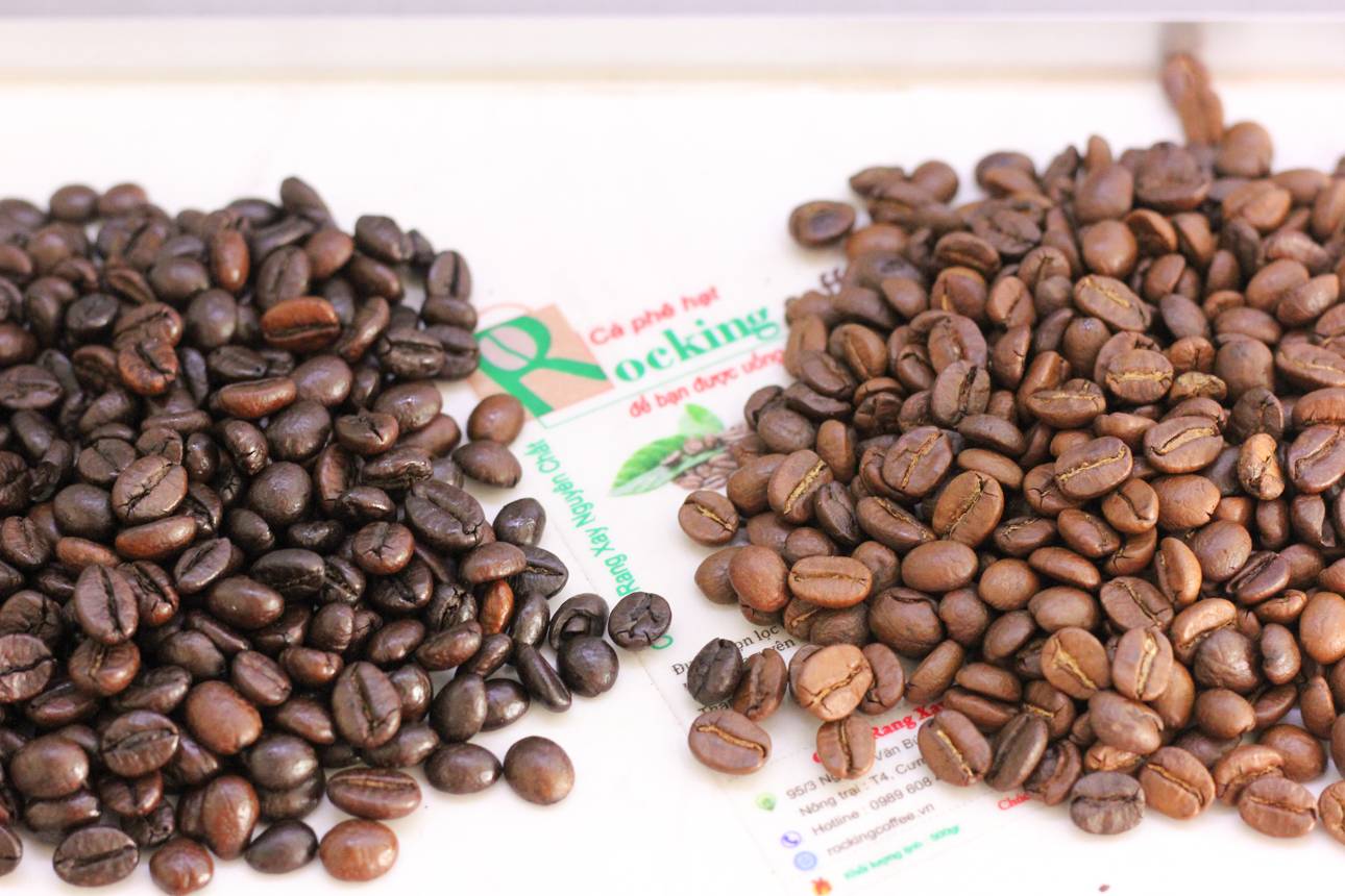 Сорт кофе эксцельза: описание, особенности и преимущества