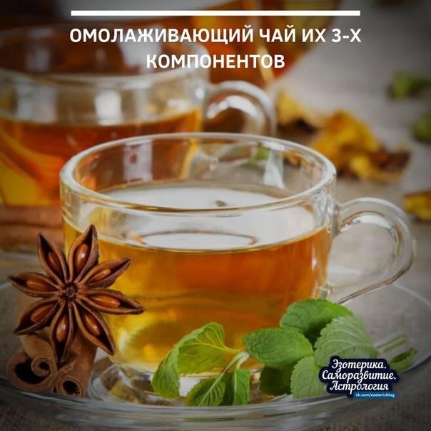 Чай с бадьяном - популярные рецепты чая с бадьяном и корицей