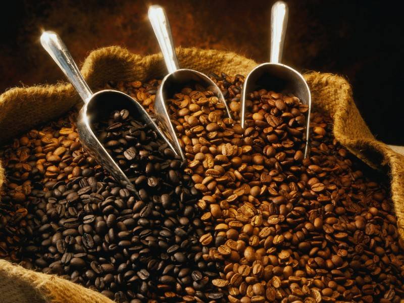 ТОП-7 самого дорогого кофе в мире