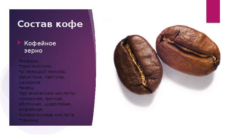 Химичечкий состав кофейного зерна, из чего состоит кофе