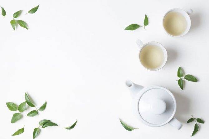 Описание и свойства белого чая с технологией заваривания