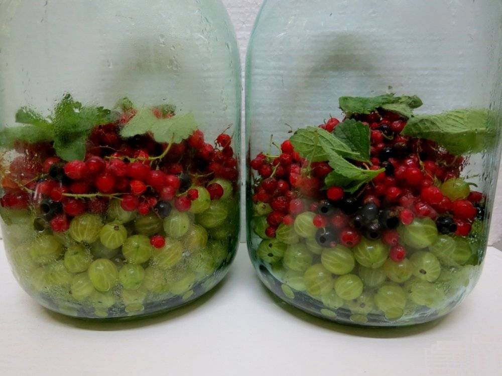 Можно ли беременным чай с мелиссой