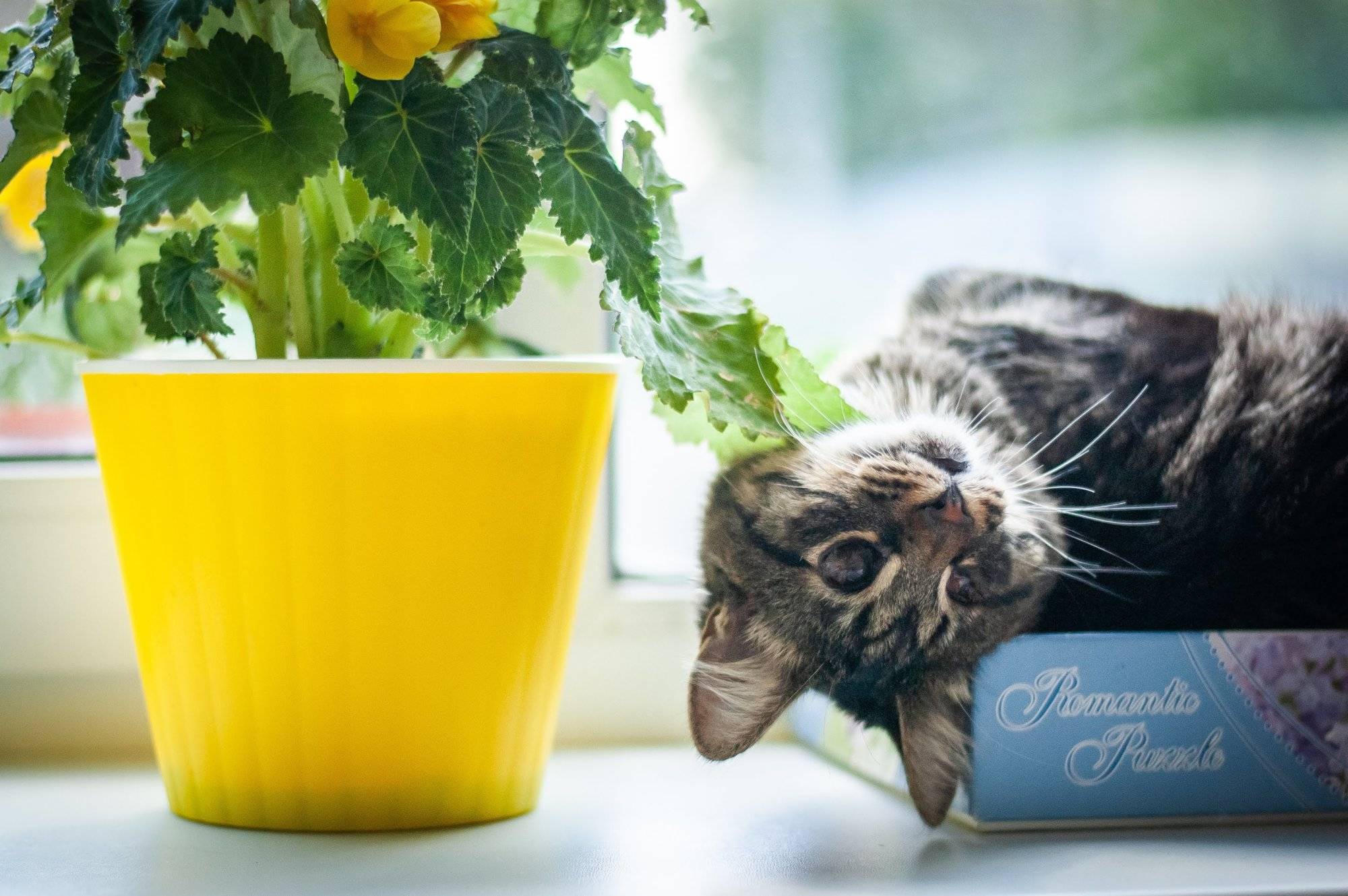 Волны кофе – векторы развития кофейной индустрии