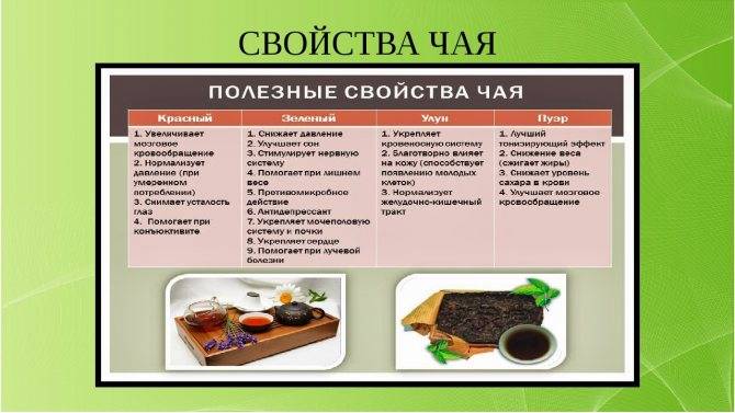 Красный чай: польза и вред, как называется и из какого цветка делают? - rus-womens