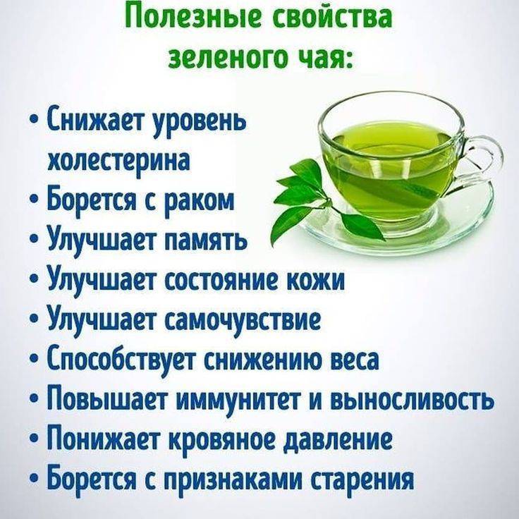 Зеленый чай или черный: польза и вред.