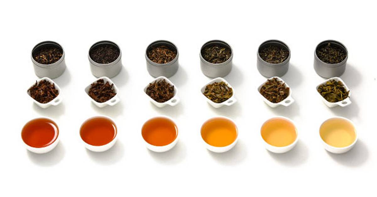 Рейтинг лучших сортов красного чая на 2021 год