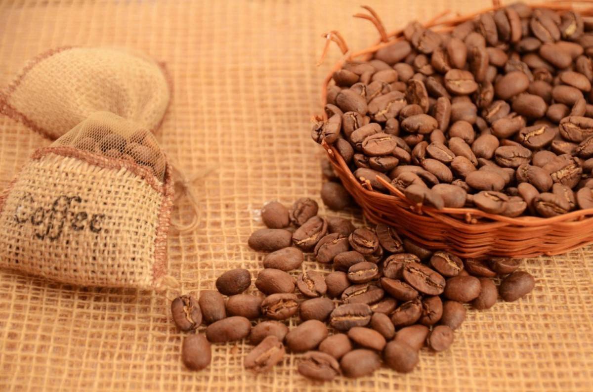 Сорт кофе марагоджип – классификация и способ приготовления