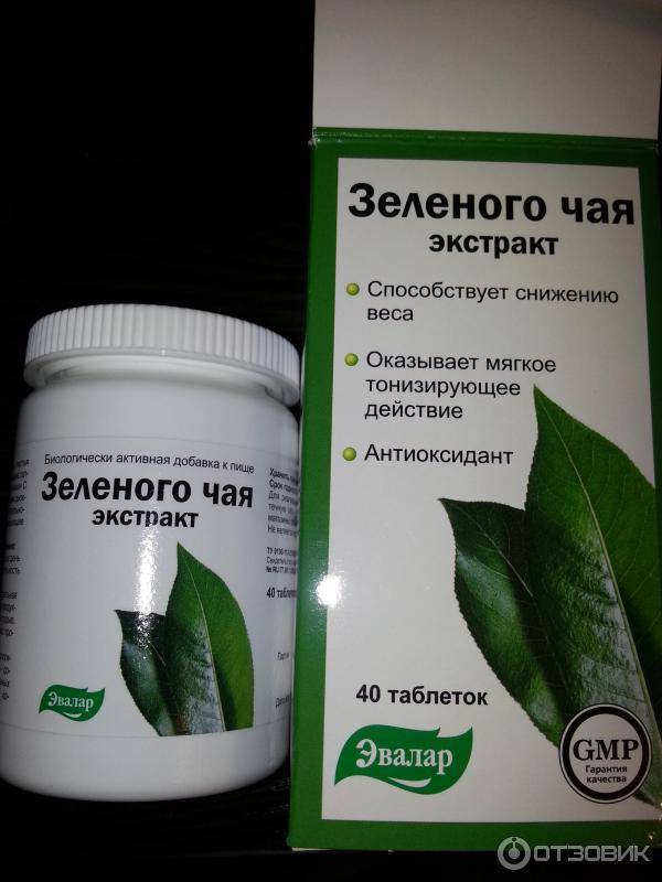 Экстракт зеленого чая в таблетках – польза и противопоказания