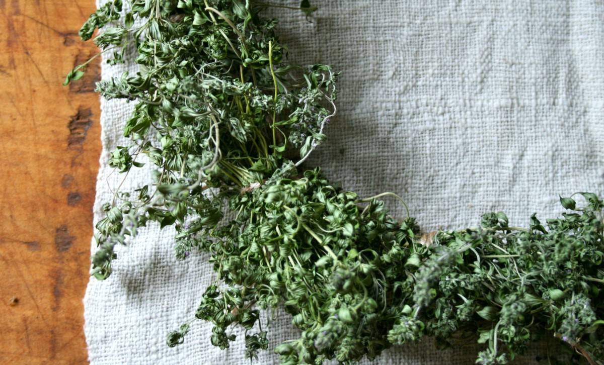 Польза и вред чая с чабрецом (тимьяном) плюс рецепты приготовления