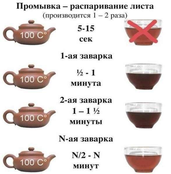 Как нужно заваривать и пить чай
