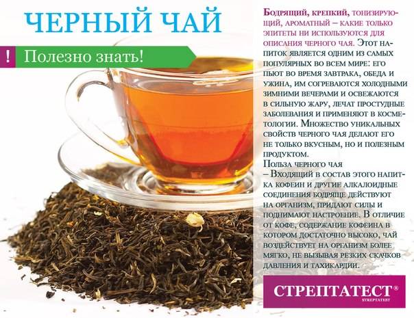 Черный чай - полезные свойства, польза и вред напитка, противопоказания | здорова и красива