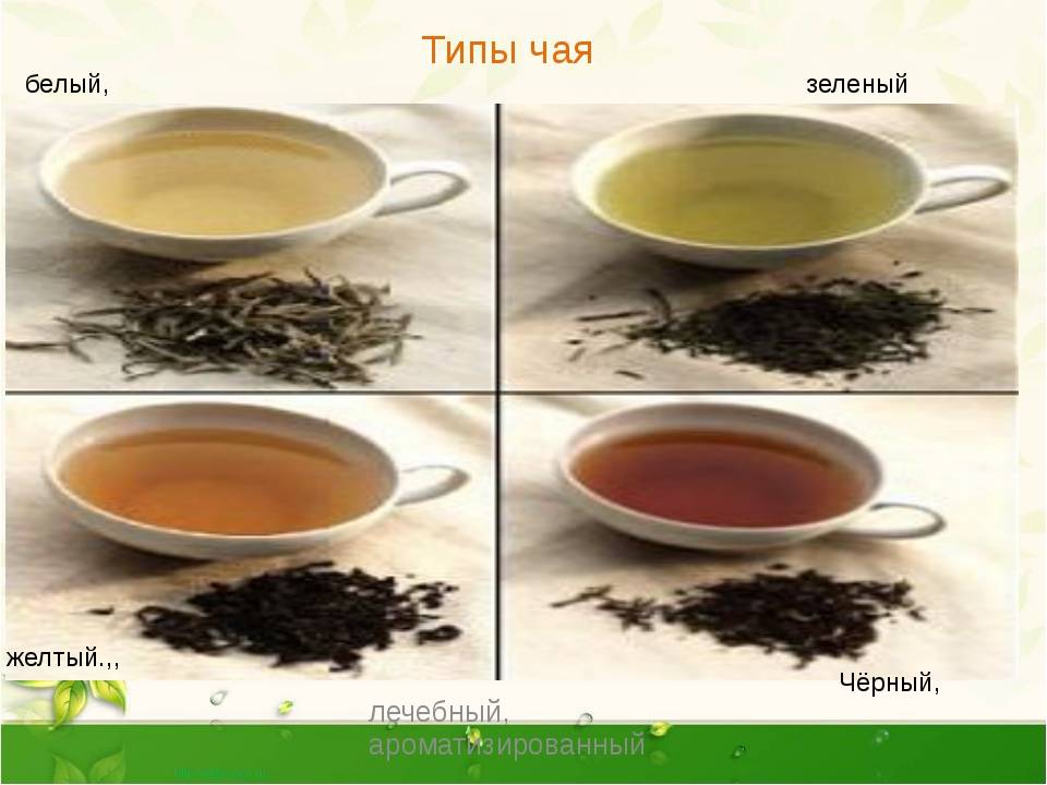 В чем разница между зеленым и черным чаем | в чем разница