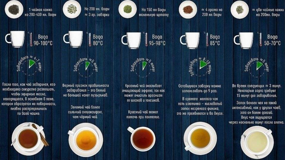 Как правильно заваривать зеленый чай: пропорции, время, температура, вода