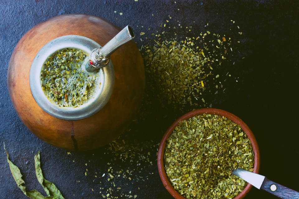 Рецепты приготовления парагвайского чая мате: традиционные варианты и современные способы