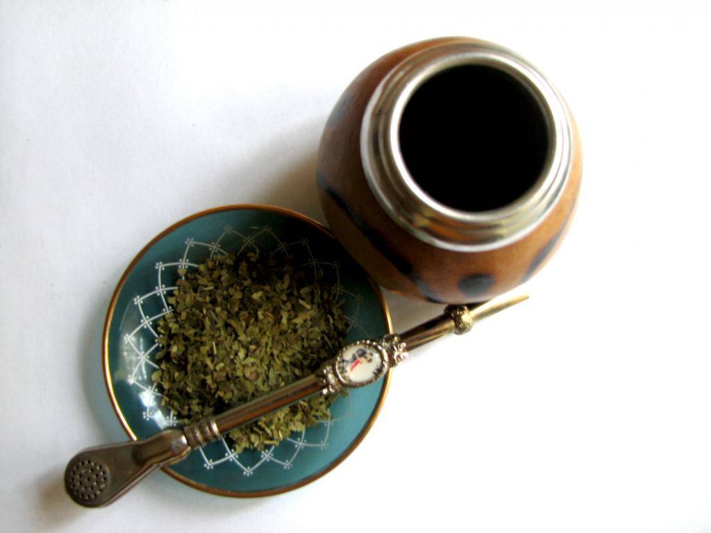 Чай мате - полезные свойства и правила заваривания