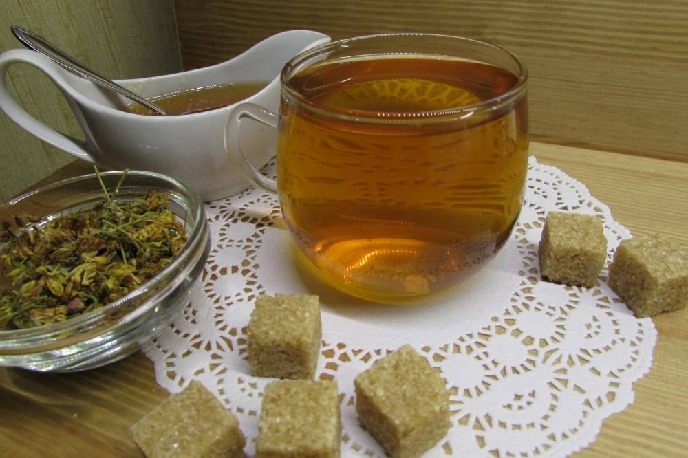 Полезные свойства и противопоказания травяного чая из зверобоя