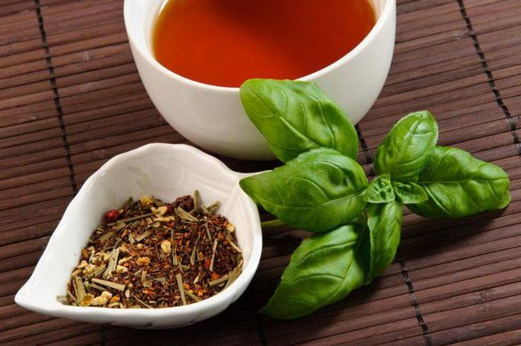 Чай тулси из священного базилика - полезные свойства и применение