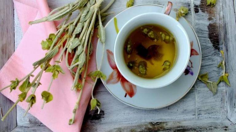 Мурсальский чай — целебные свойства