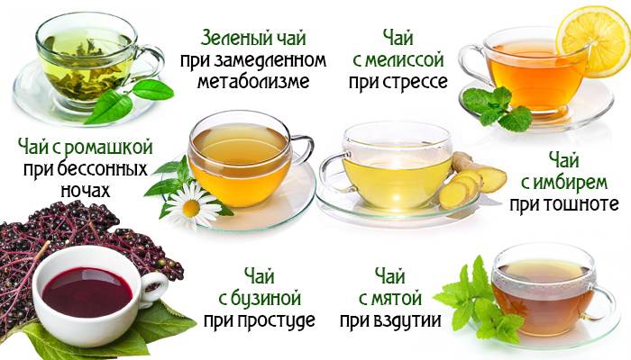 Какой чай полезней для здоровья-черный, белый или зеленый?