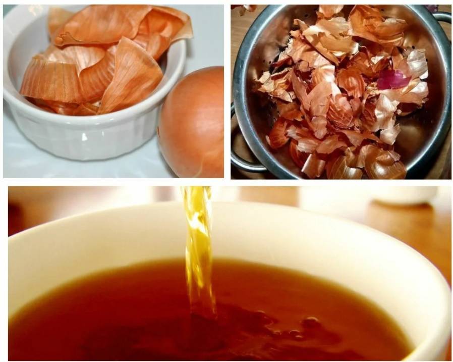 Польза и вред чая из луковой шелухи и как ее заваривать — как приготовить чай из луковой шелухи