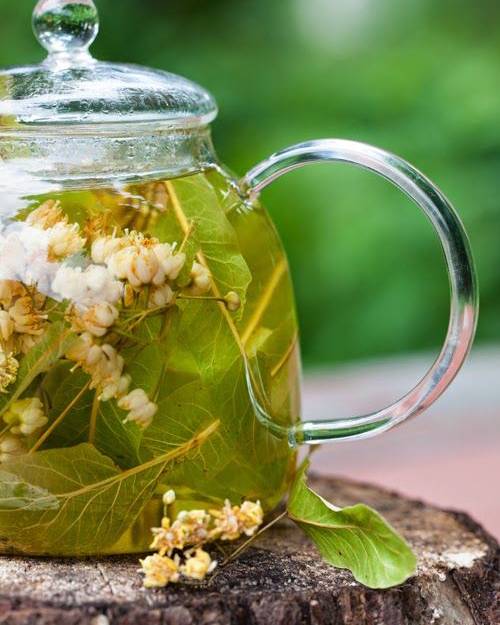 Как правильно заваривать чай с липовым цветом — рецепты и советы по приготовления напитка