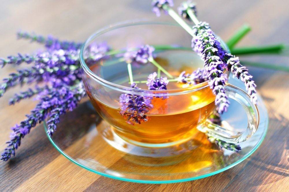 Чай с лавандой — польза и вред
