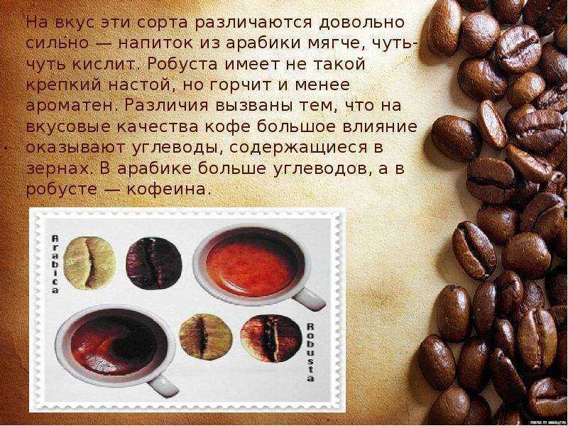 Самый крепкий кофе: основные виды и характеристики