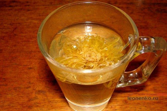 Хризантемовый чай: польза и вред, как заваривать