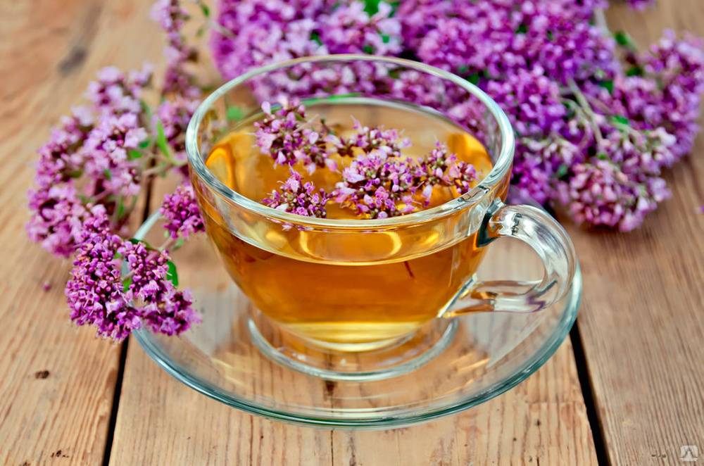 Чай с чабрецом - отличное средство народной медицины от различных заболеваний