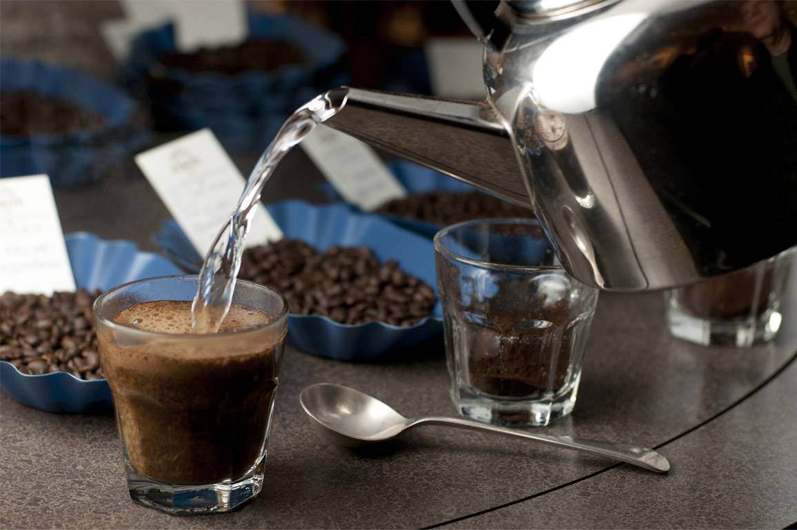 Как дегустировать кофе, как настоящий бариста?