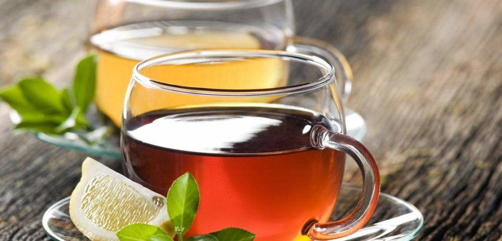 Какой чай называют свежий и как его отличить от старого