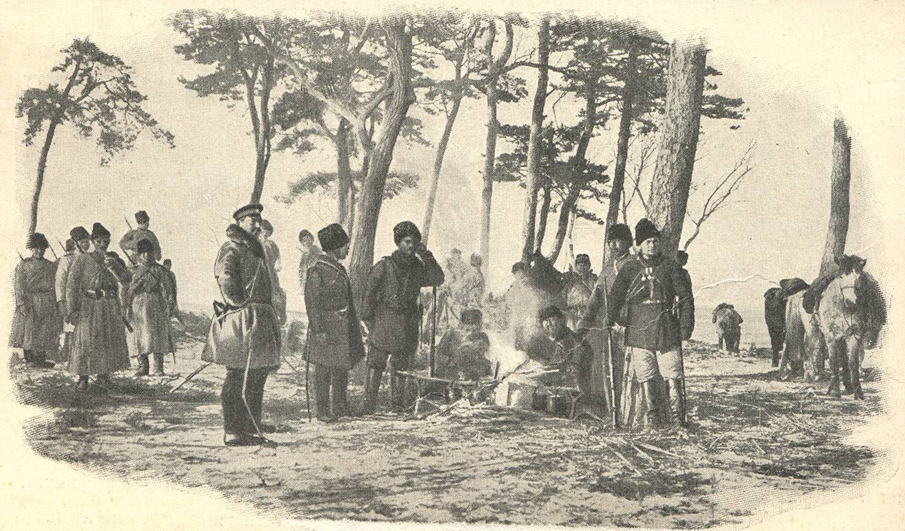 История появления чая от первых плантаций до современных производств (+9 интересных фактов)