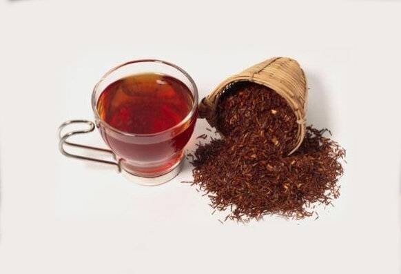 Чай ройбуш: полезные свойства, состав, противопоказания и вред