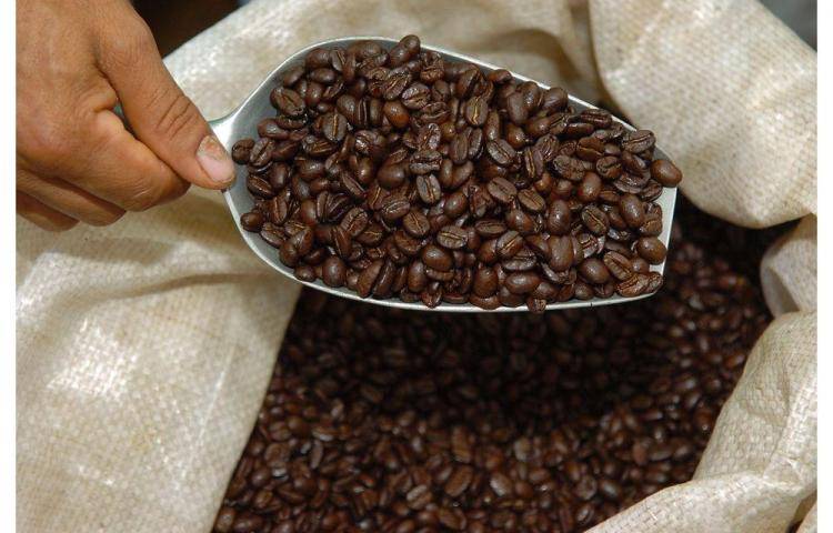 Регионы, производящие кофе