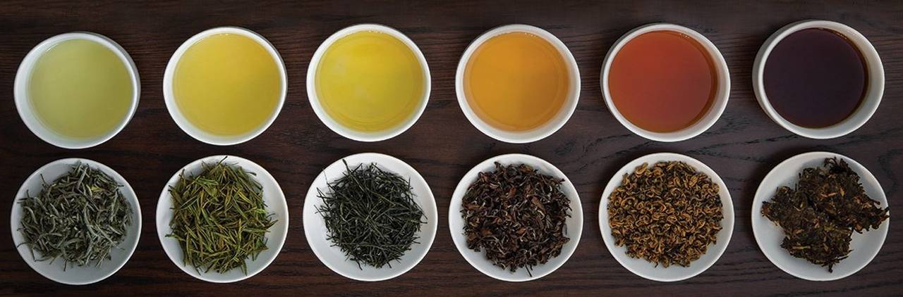 Какой иван-чай лучше ферментированный или неферментированный? | в чем разница