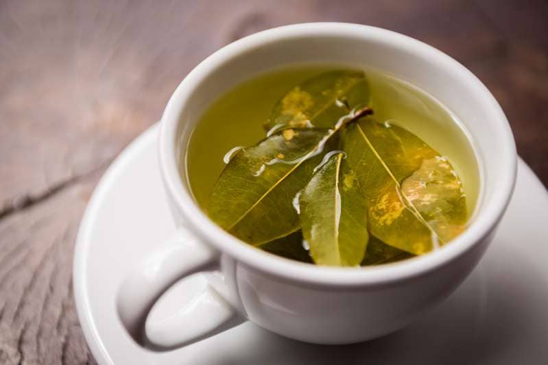 Чай кудин: польза и вред, советы врачей, как заваривать и пить чай