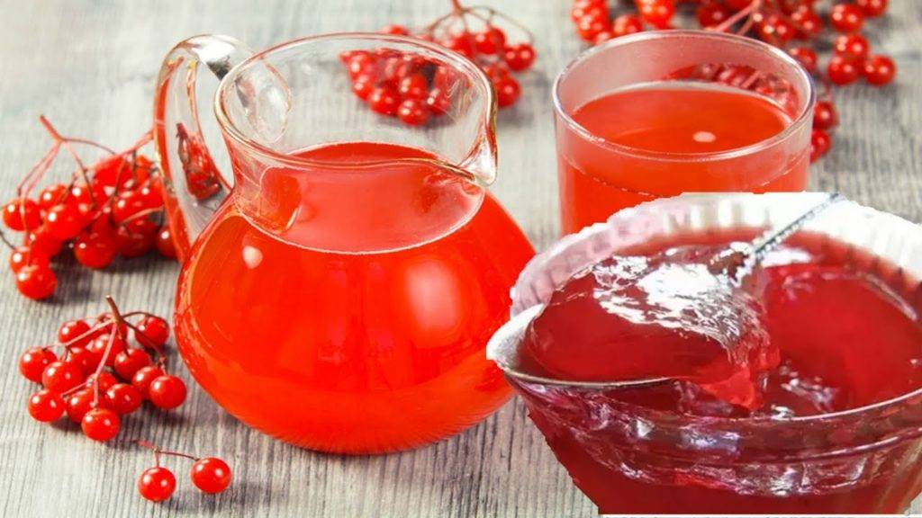 Рецепты и свойства чая с рябиной красной – большая польза маленьких ягод