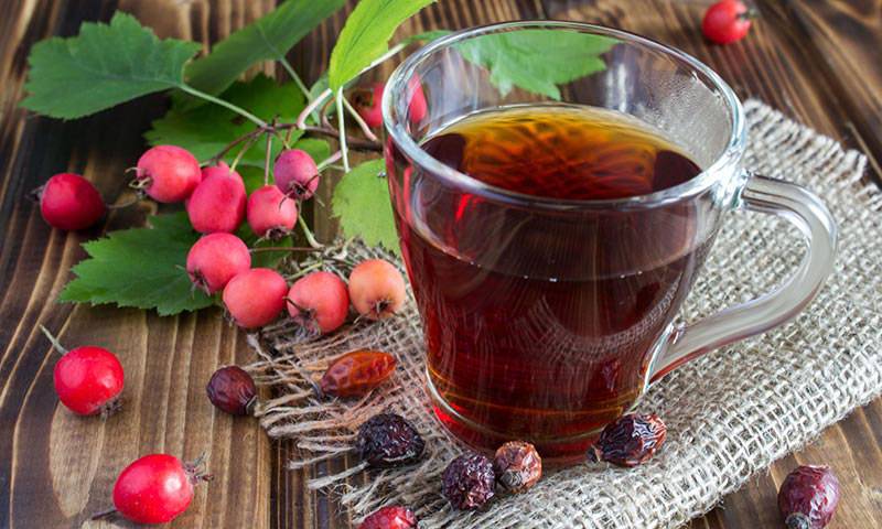Чай с калиной: польза и вред, советы по сбору и приготовлению
