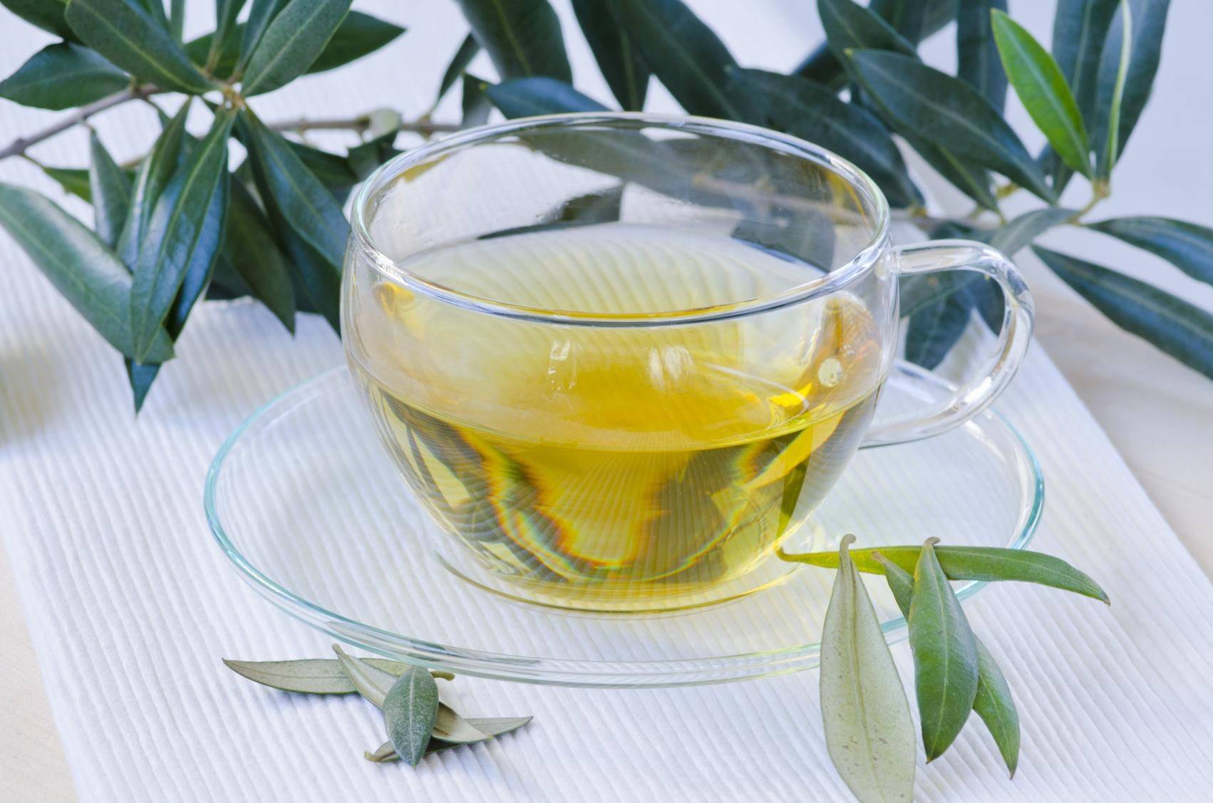 Чай из листьев оливы