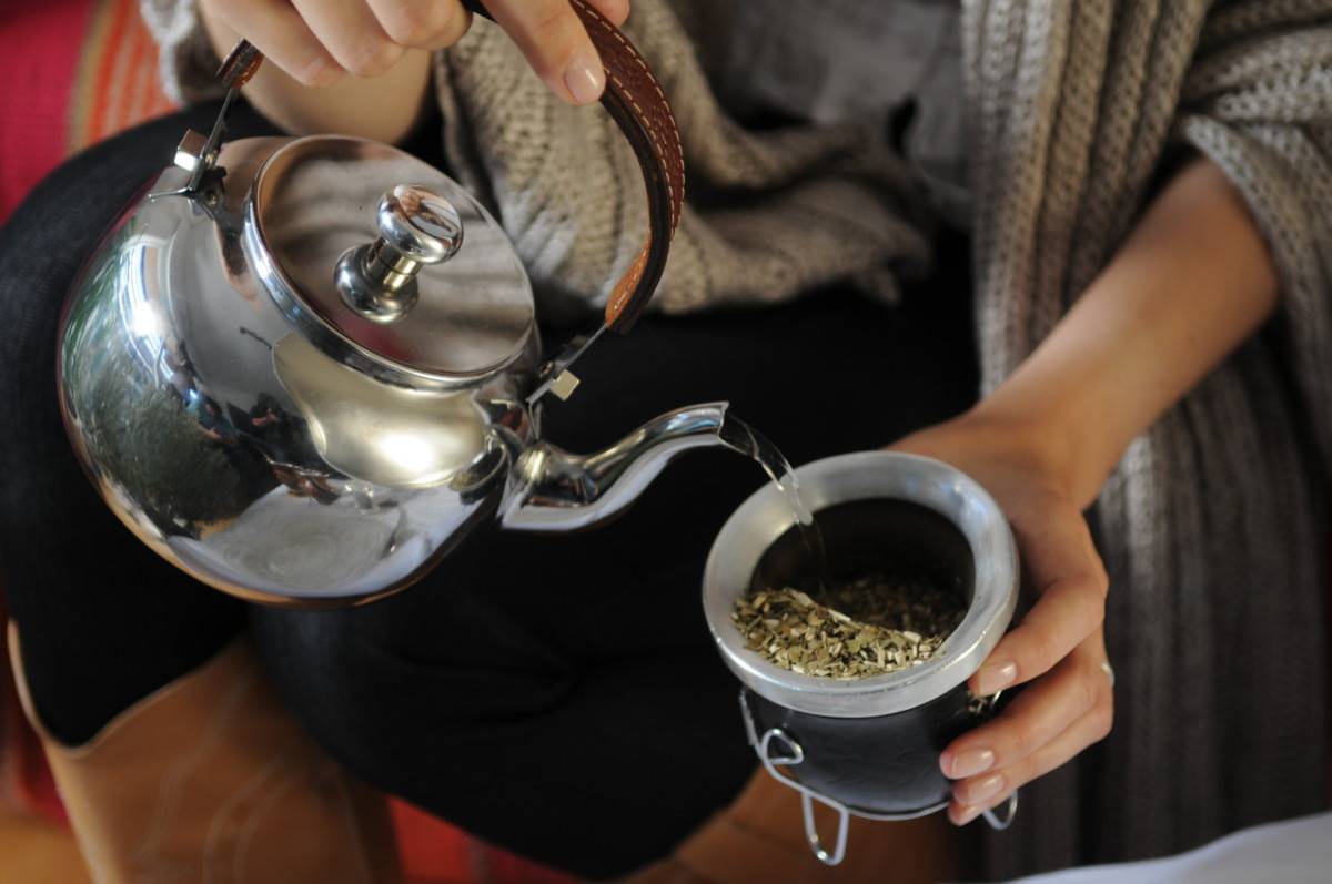 Чай йерба мате — что это такое, как правильно заваривать и пить