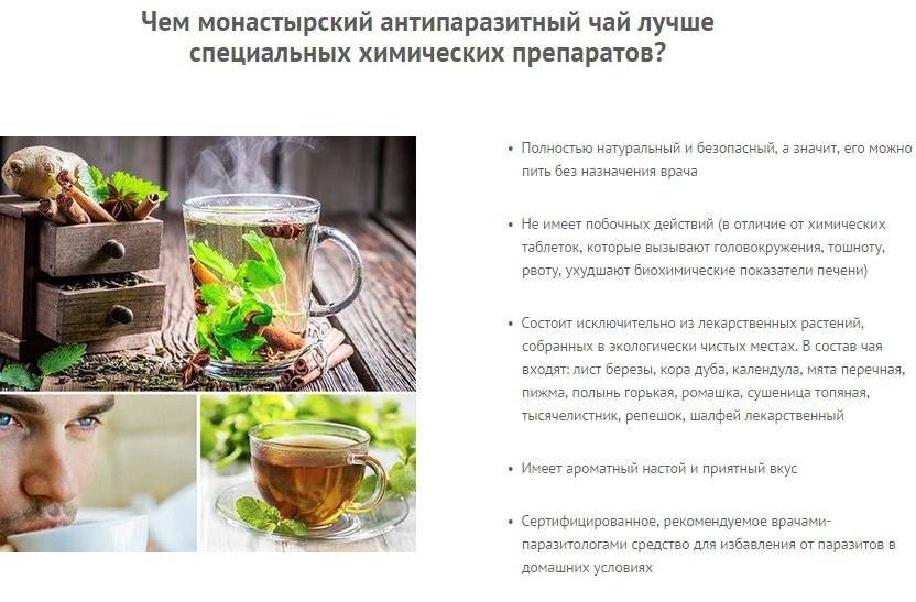 Фиточай: рецепты вкусного травяного чая и их чудесные свойства