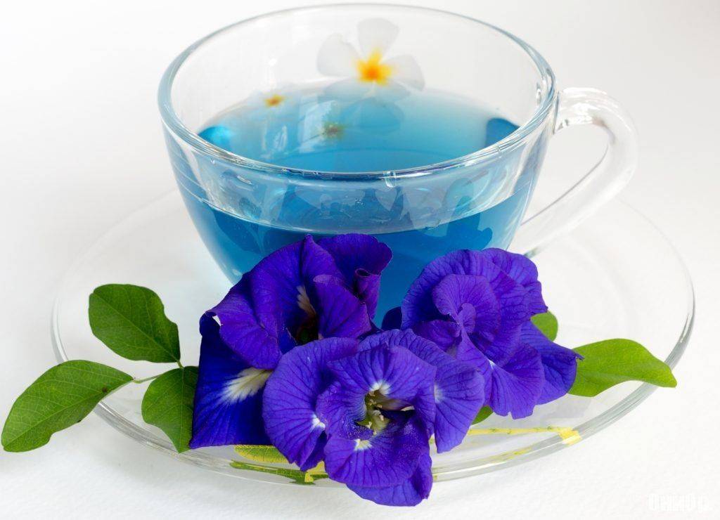 Синий чай для похудения, польза в косметологии