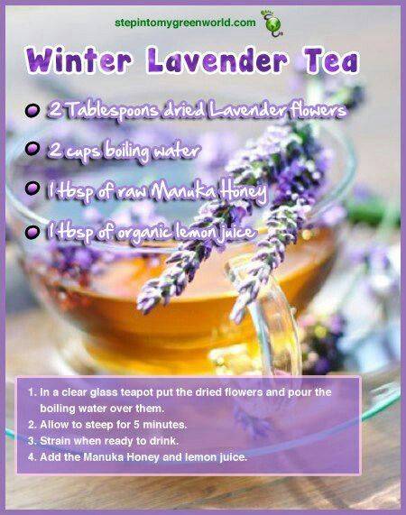 Лавандовый чай — полезные свойства и рецепты