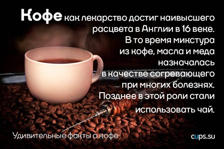 Интересные факты о кофе: 10 коротких и самых удивительных