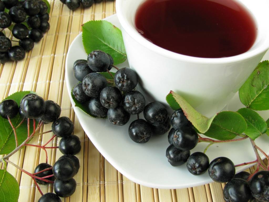 Свойства чая с черноплодной рябиной и рецепты приготовления