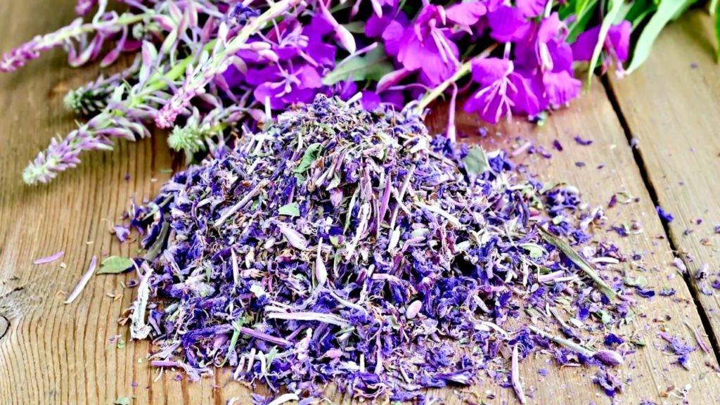 Как правильно заваривать иван-чай: рецепты и особенности приготовления