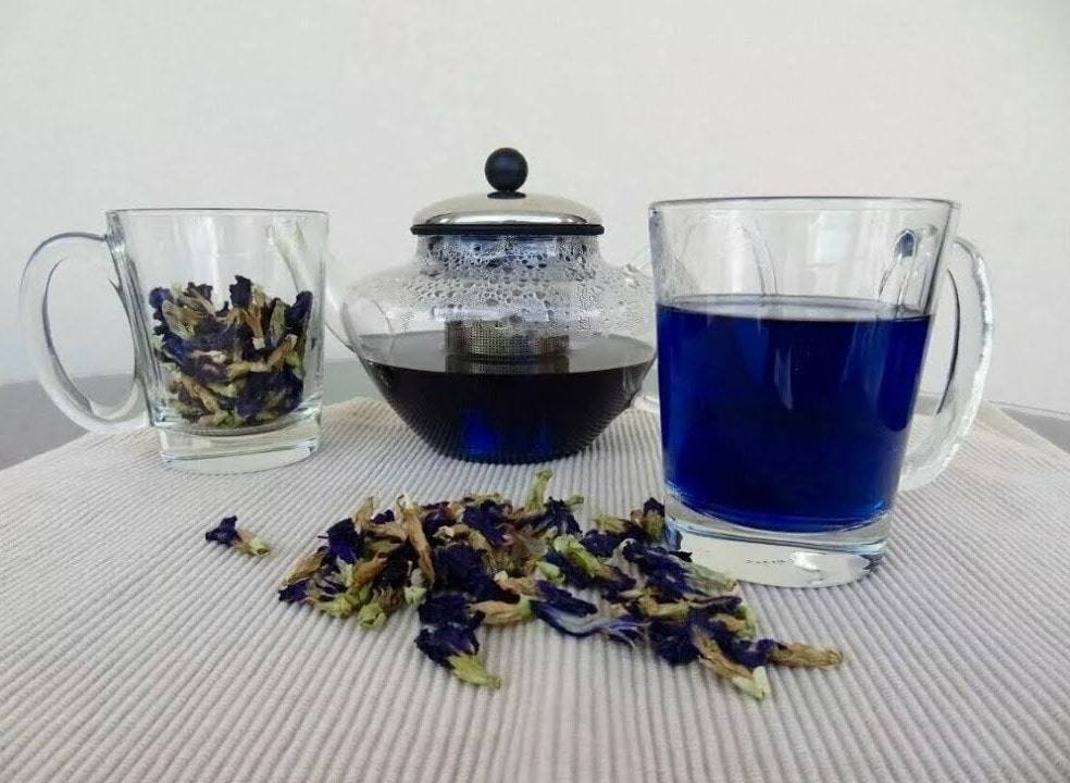 Все о синем чае анчан из тайланда от способа заварить до полезных свойств