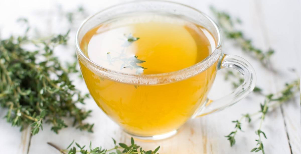 Кустарниковый курильский чай