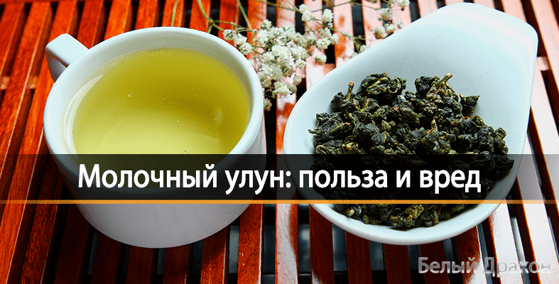 Молочный улун – польза и вред зеленого чая