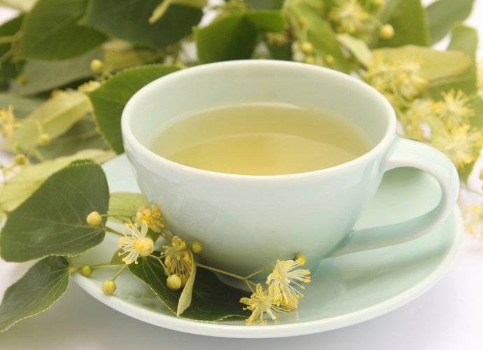 Зеленый чай с жасмином: польза, вред, свойства, как заваривать